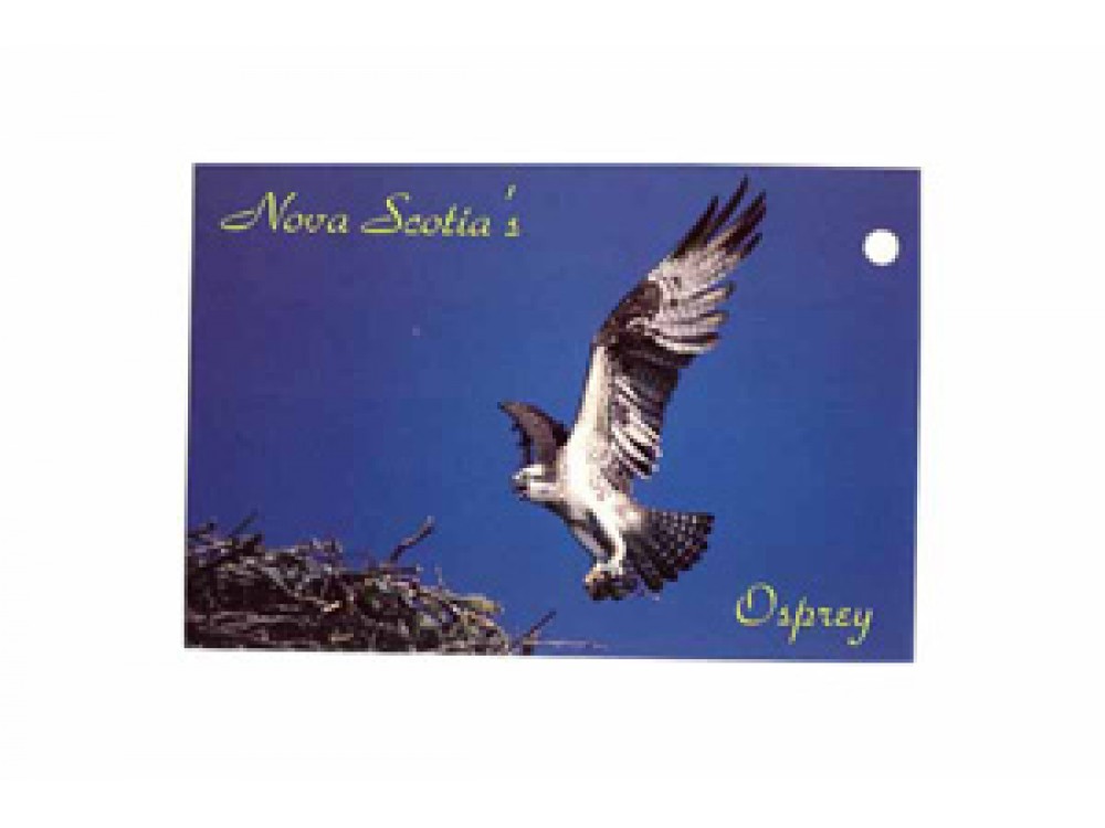 Postcard  NS Osprey