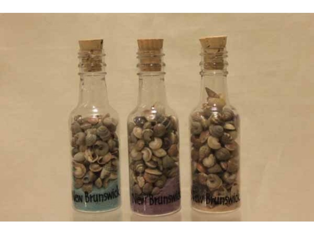 N.B. Shells and Sand in Bottle magnet