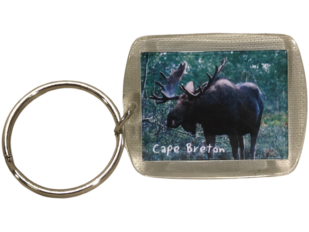 Key Ring  Moose CB