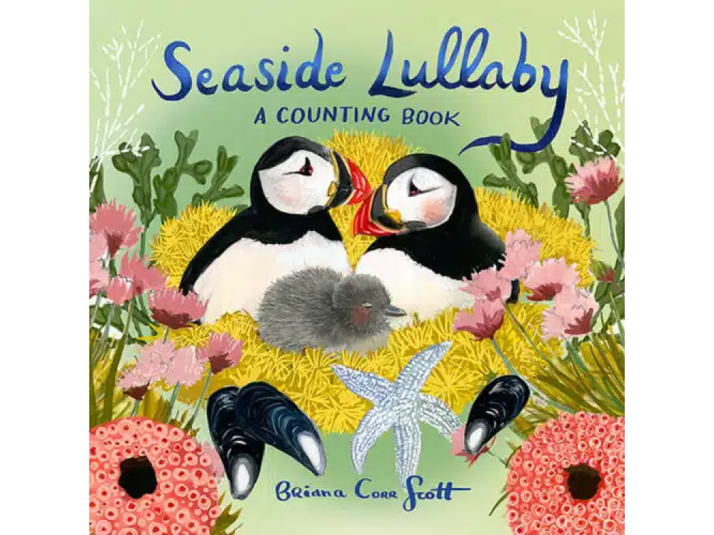 Seaside Lullaby boardbook