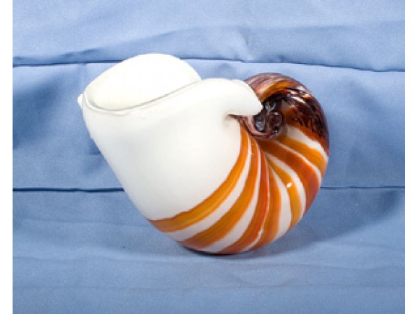 Glass Nautilus Shell