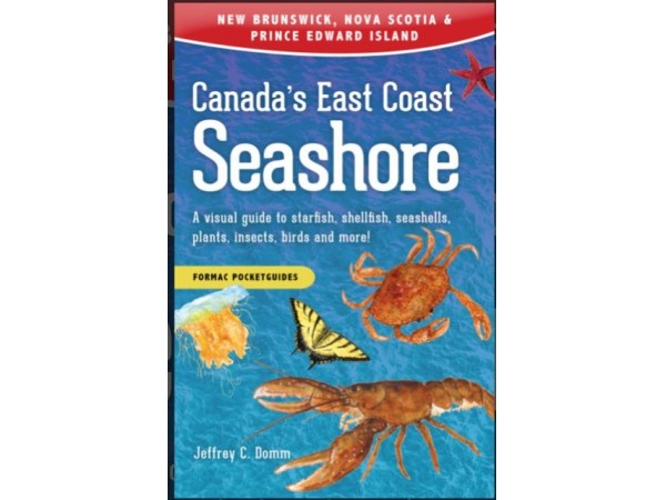 Canada's East Coast Seashore - SC