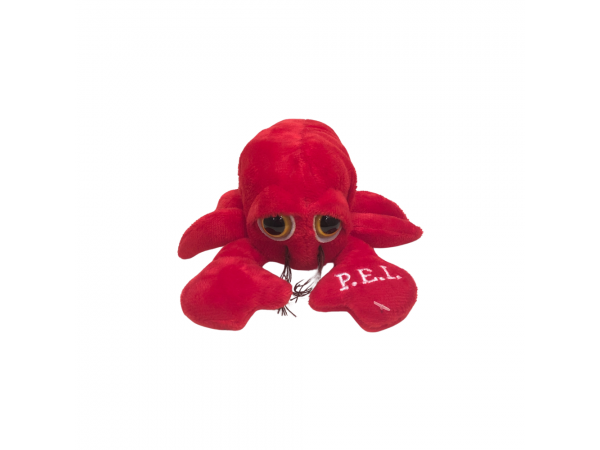 PEI Lobster 6