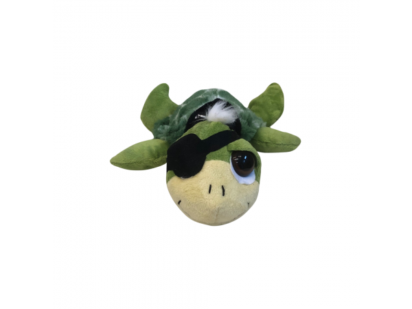 Green Pirate Sea Turtle