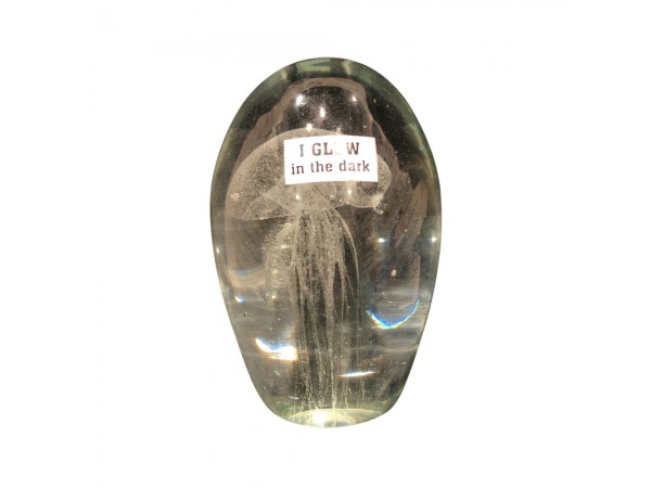 Jellyfish Glass  5.5