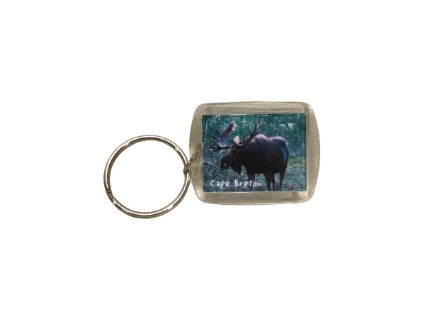 Key Ring  Moose CB