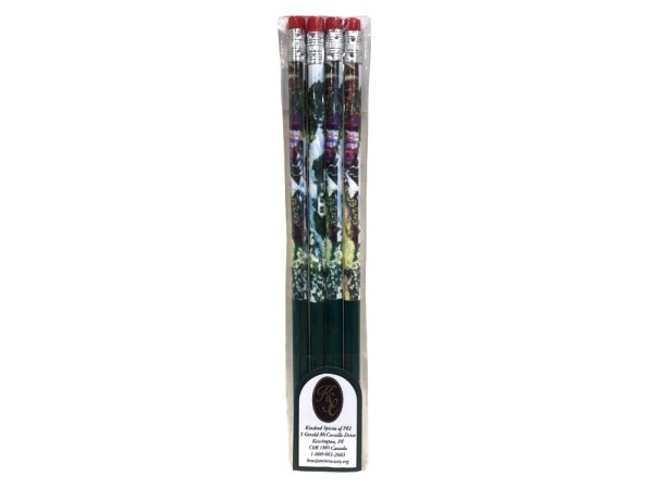 Anne in the Quilt Pencils 4-Pack