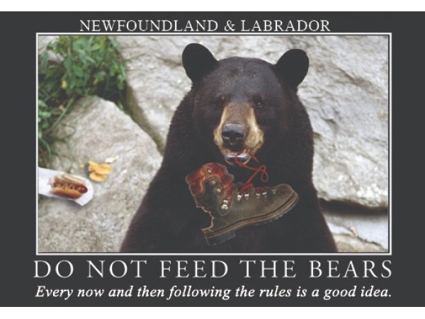 NFLD Feed Bear Magnet