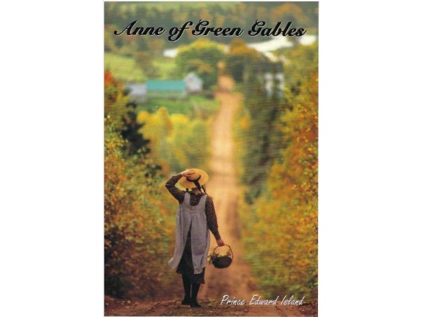 Anne Down the Lane Postcard